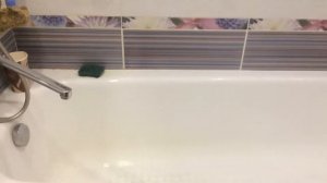 Кайк. Черноголовый белобрюхий попугай.