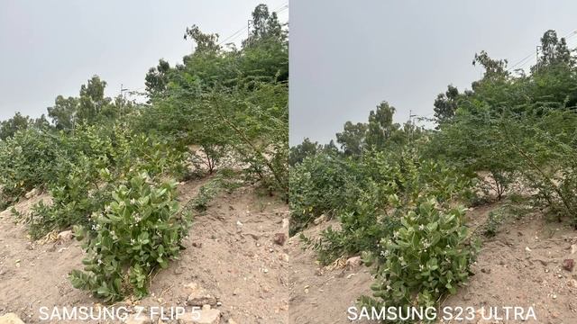 Samsung Galaxy Z Flip 5 Vs Samsung S23 Ultra Camera Test Comparison смотреть онлайн