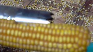 самый 454 простой и доступный способ очистки початков кукурузы