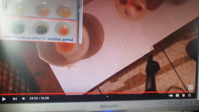 Что в растворе золото или палладий? Тест на хлорид олова (ll) смотреть онлайн