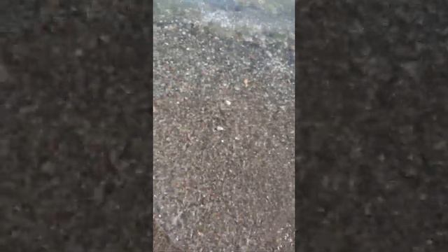 ПОГОДА НА ЧЁРНОМ МОРЕ АБХАЗИЯ КУРОРТ ЦАНДРЫПШ ГЕЧРИПШ ОТДЫХ РАЗМЕЩЕНИЕ