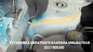 Установка обратного клапана омывателя. Подача воды первее движения щеток Джили Монжаро/Geely Monjaro