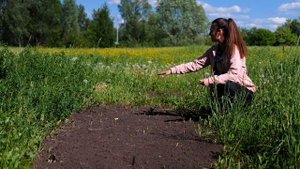 Конфликт с Соседями