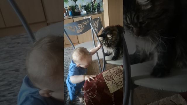 друганы 😺👶# котики детишки