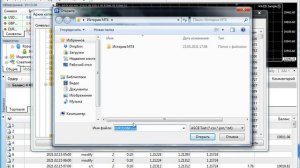 Закачка ценовой истории в Метатрейдер 4 - ручная загрузка из эксель файла (для МТ4)