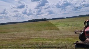 Заготовка сенажа Беларус-3522