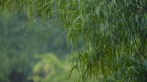 Медитация. Аффирмации для продуктивной работы и учебы