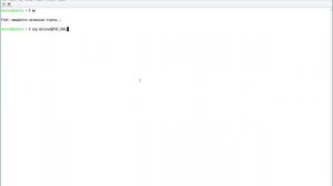 01 - 04 - Сохранение топологии Mininet
