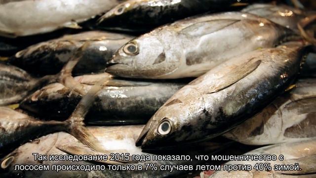 5 советов, как выбрать лосось в магазине