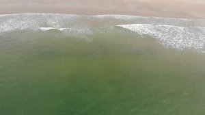 Отдых на Гоа, Ароссим, отель Pristine Resort 2*. Съемки с квадрокоптера. Ноябрь 2018 год.