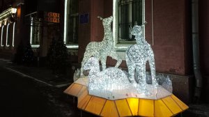 Выставка аквариумных рыбок 05.01.23