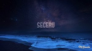 MILICA PAVLOVIC X ALBINO - SECERU (LYRIC VIDEO)