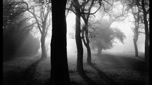 Rammstein Nebel (instrumental)