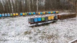 Зимовка, вентиляция в 6-рамочных ульях