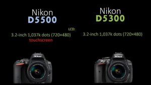 Nikon D5500 vs Nikon D5300