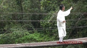 Комплекс Уданского цигун (пять зверей) "Змея" - 蛇形 Snake (Wudang Five Animals Qi Gong)