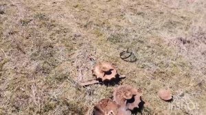 КОП МЕТАЛЛА. КОП С МЕТАЛЛОИСКАТЕЛЕМ. НОКТА МАКРО ЛЕГЕНД.