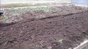 Доработал плуг от мотоблока агат, перепахал участок на осень