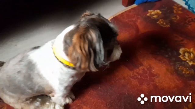 Закрываю Канал??Уколы, ТАБЛЕТКИ, МАССАЖ ?♀️ смотреть онлайн