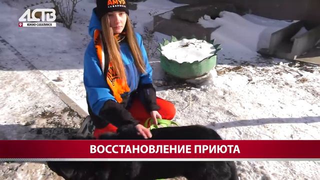 Восстановление приюта