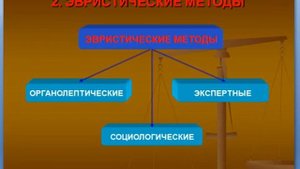Видеоурок (Теоретические основы экспертизы потребительских товаров)