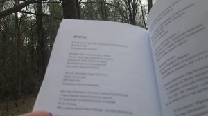 Алёна Солнечная  Теория Мыслей  Притча
