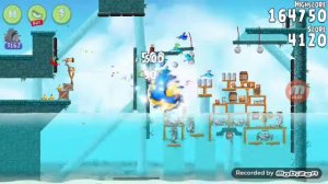 Angry Birds Rio High Dive (Bonus Level Edition)
