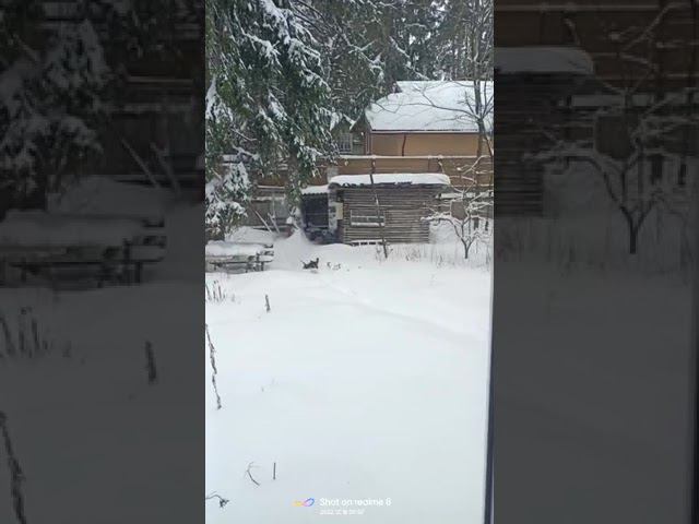 18 декабря 2022 г. смотреть онлайн