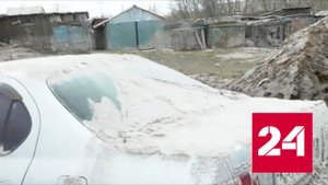 Ученые из Приморья изучают материал, выброшенный вулканом Шивелуч - Россия 24 