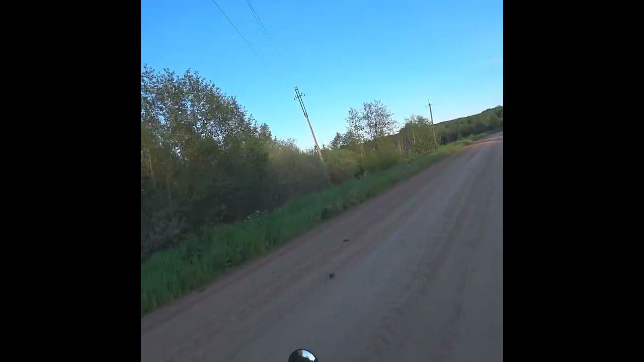 Встретил зайца смотреть онлайн