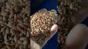 Очистка льна на самоходной зерноочистительной машине на базе сепаратора аэродинамического САД-10