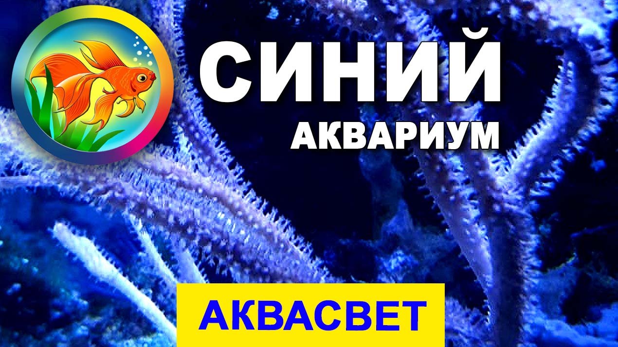 Видеопример: Светодиодный светильник для морского аквариума. смотреть онлайн