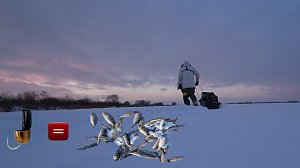 БЕЗМОТЫЛКА КОСИТ ОКУНЯ , ЕГО ТУТ КУЧА . Рыбалка в январе