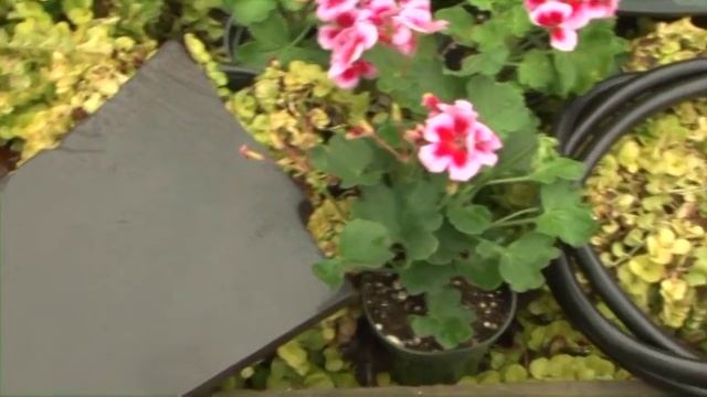 Pondmaster Hydro-Air Submersible Water and Air Pump from Danner Manufacturing смотреть онлайн