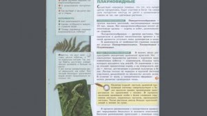 Биология (Л.Н.Сухорукова) 7к §15 Отделы: Папоротниковидные. Хвощевидные, Плауновидные