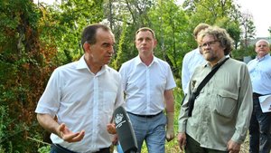 В Сочи сохранят зеленую зону в районе Мамайки, где хотели строить гостиницу