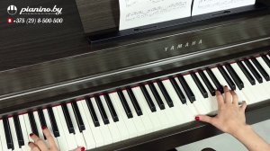 Potter Waltz - Yamaha Clavinova CLP-635