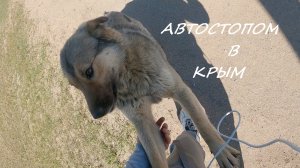 Автостопом из Питера в Крым (часть 1). Видеодневник.