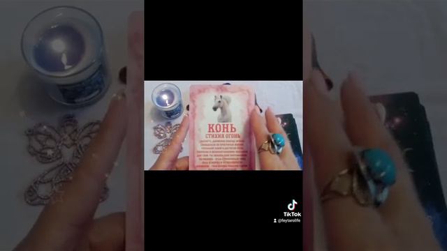 Таро История "Тотемное Животное на неделю для знаков Стихии Вода!"🖐️💖 смотреть онлайн