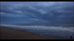 Vangelis. Bon Voyage - Dreams of Surf