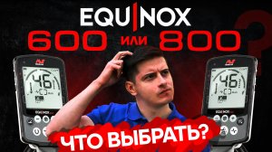 Minelab Equinox 600 или 800? В чем отличие?