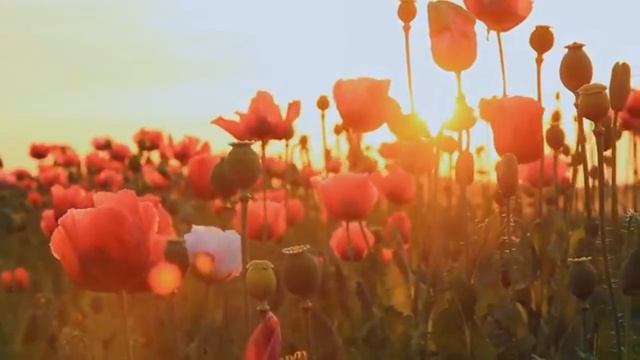 Клип на стихи "Живой источник" смотреть онлайн