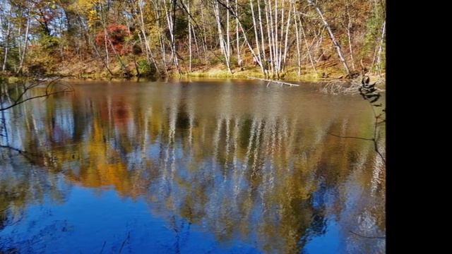 Озеро Романтика на Романовском ключе. Октябрь 12, 2019 смотреть онлайн