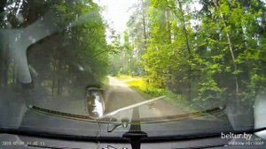 База отдыха Девино - проезд, Отдых в Беларуси
