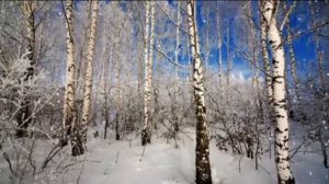 Людмила Зыкина  Зимушка-зима