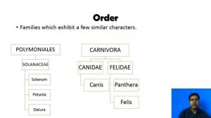 LIVING WORLD Taxonomic categories