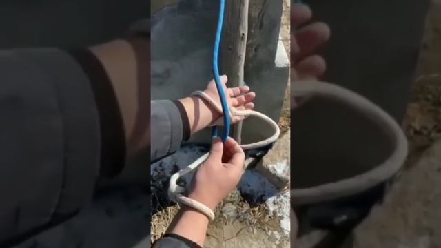 Как распутать руки, когда тебя привязали к столбу? #short #lifehack #веревка