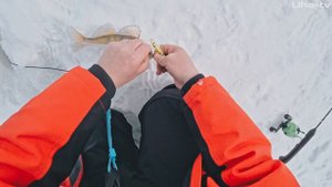 ЭТОТ БАЛАНСИР НЕВЕРОЯТНО ПРОЧНЫЙ и УЛОВИСТЫЙ. ВЕСЕННЯЯ РЫБАЛКА НА ЩУКУ