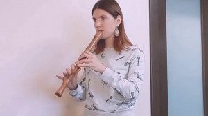 Flaming red hair (OST The Lord of the Rings) / recorder cover
