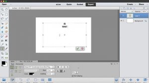 Photoshop Elements 13. How to add text, crop, and change the background color!
